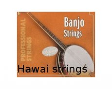 Banjo & Hawai gitaar snaren