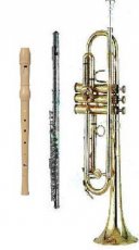 Blaas Instrumenten