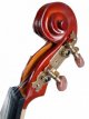 2 4/58 Unieke Viool set Basis