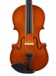 2 4/58 Unieke Viool set Basis
